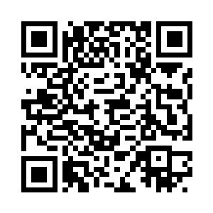 宫殿的一角隐隐露出飞龙凤凰的雕像二维码生成