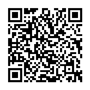 宫装女子知道现在需要对眼前的少年无条件相信二维码生成