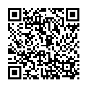 害得她宝贝孙子躺在那儿生死未卜的人是她……二维码生成