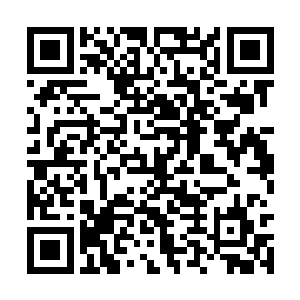 害得我一个富家小姐为了生活不坠得不入风尘之中二维码生成