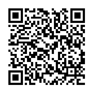 害怕找伴侣的时候也会遇到各种各样的问题和麻烦二维码生成