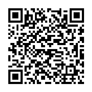 害怕自己有一天会真的变成一个没有人情味的人了二维码生成