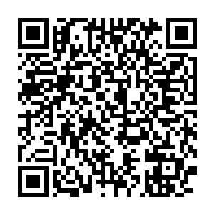 害的才投效了大魔妖神麾下的十三部水族全军覆没的那个人族魔修吴岩二维码生成