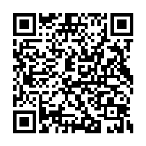 宴大少奶奶和晏大少爷赶紧启程去京都周家确认二维码生成