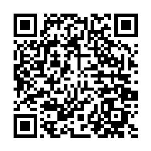 宴维又不喜欢女孩儿……而宴杭皓和李斯斯也说的很明白二维码生成