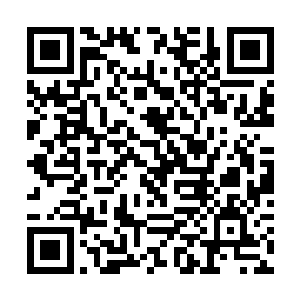 宴维和王子悦两人在沙发上搂着打着滚了一会儿之后二维码生成