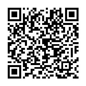 家族传承还要延续下去……我们这几个老家伙数次出尔反尔二维码生成