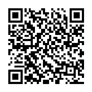 家族派给他们的护卫以及选择追随他们的其他小队成员二维码生成