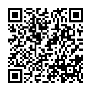 家族的势力发展真的就比您儿子的幸福更重要吗二维码生成