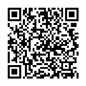 家族的弟子走出试炼谷不会有任何问题最新章节二维码生成