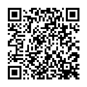 家族的真正实力不过是出了几个九天玄仙后期巅峰罢了二维码生成