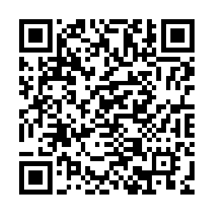 家族血脉传承……这些竟都是七个老人家念念不忘放不下的事情二维码生成
