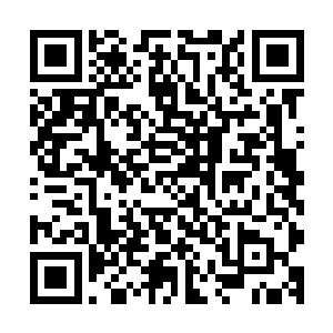 家父还特意叮嘱我给世叔带来了一些门内自己产的一些小礼物二维码生成