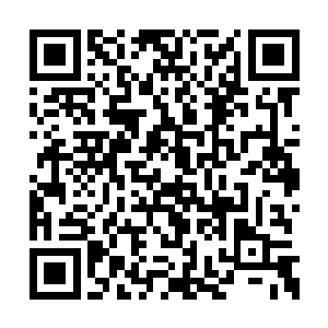 家里人当时给我取名字也是寻思着我要纯良一点二维码生成