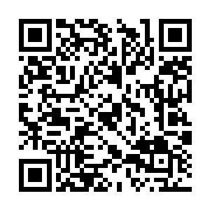 家里从来不会出现什么为了家产为了争宠而搞内讧二维码生成