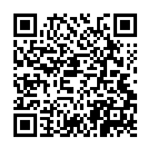 家里以后所有的下人都不会再称呼她为心心小姐了二维码生成