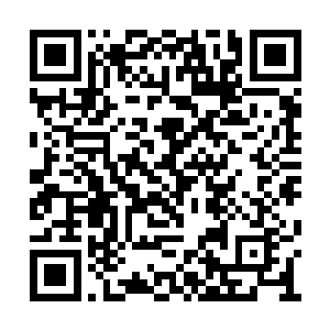 家里房子存款包括我爸妈的丧葬费全部都给黎明二维码生成