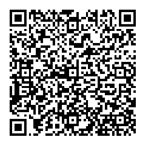 家里断网了昨天一整天都没有网络今天一去看才发现十几根网线竟然全部都被人剪短了这一章还是到黑网吧里更新的二维码生成