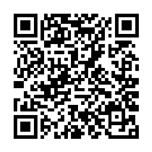家里的佣人们一早就知道两个小少爷对三小姐特别好二维码生成