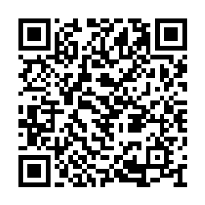 家里的这些冻鱼是龙战打猎回来以后抽空捕到的二维码生成