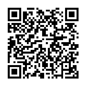 家里老小全都穿上麻布衣服那是一点问题都没有的二维码生成