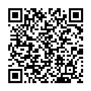 家里通往市中心或者去女儿幼儿园的地方她是肯定能记得住的二维码生成