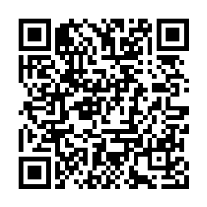 家里面就是告知自己不能够跟着一同的去美国了二维码生成