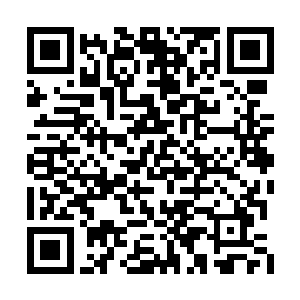 家里面的事情自己从来都没有任何要干预的意思二维码生成
