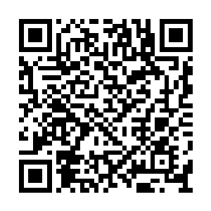 家里面的孩子也是把他们当成了家里面的一份子二维码生成