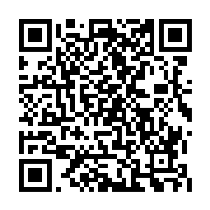 家里面能够充分的保证他们成长所需的各种因素二维码生成