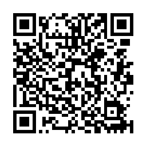 宸王将手中食盒中的膳食都端出来摆在了面前的小圆桌之上二维码生成