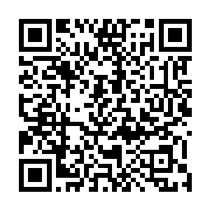 容云大师很显然并不知道这只小神龙具有天生的寻宝本能二维码生成