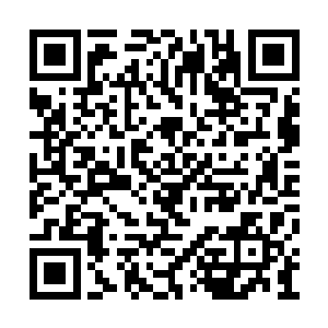 容华郡主被她这样和善的态度弄得有些进退不得二维码生成