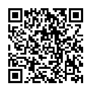 容孟达用那刚刚抠过屁股的右手猛扇着四长老的耳光二维码生成