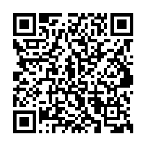 容易和凌彩衣也目瞪口呆地地望着半空中的奇景二维码生成