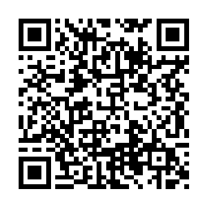 容锦一行人抵达了南疆境内一个名叫石龙的村子二维码生成