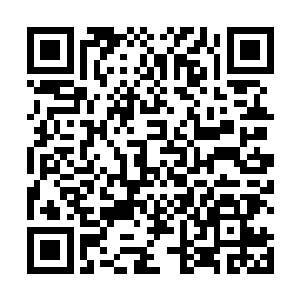 容锦与如意堂住着的那位长相不俗的公子关系非比寻常二维码生成