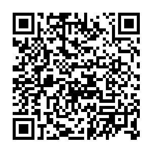 容锦带着南楼由着冯氏和张氏带着一干丫鬟婆子众星拱月般迎进郡主府二维码生成