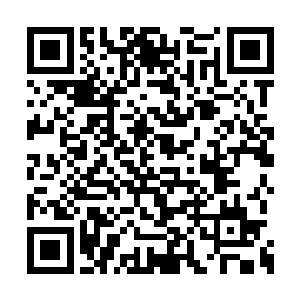 容锦想着马车外面还有南楼和红楹这两个大活人二维码生成