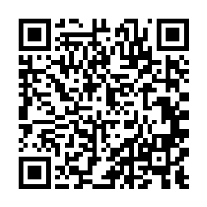 容锦看在眼里的便是如潮水般朝她们马车奔来的人流二维码生成