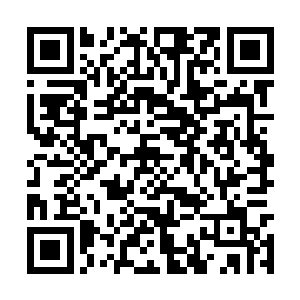 宾利却倒霉的发现他刚刚到來的运气忽然就又沒了二维码生成