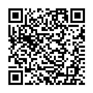 宾客都已经入席按照身份地位帝寒坐的位置实属上宾二维码生成