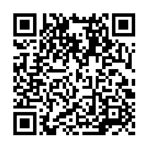 宿舍里其余几个哥们儿对他的怪异早就习以为常二维码生成