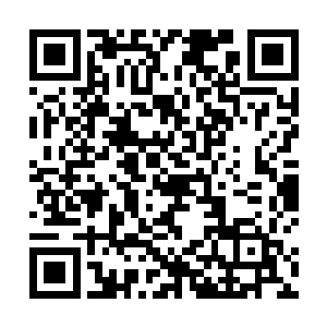 寂静中剑无虚弄出来的动静令所有的修士脚步都是一顿二维码生成