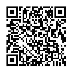 寂静是因为第一批真正意义上的生命才刚刚诞生二维码生成