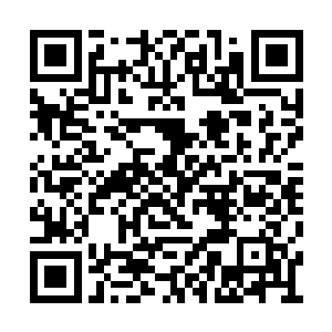 寂静的海岛上土屋里开始接二连三的有人影晃动二维码生成