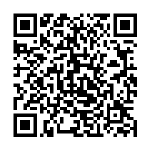 寄生蜂就成为了修者们的重点打击报复对象――不多杀几个二维码生成