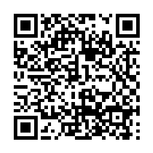 密宗早早的因为人员的损失就预定了垫底的位置了二维码生成