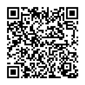 密密麻麻却又极为迅捷地朝着前方的那道冲涌而来的花柱轰了过去二维码生成