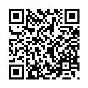 密密麻麻的交织成了一片密不透风的荆棘网二维码生成